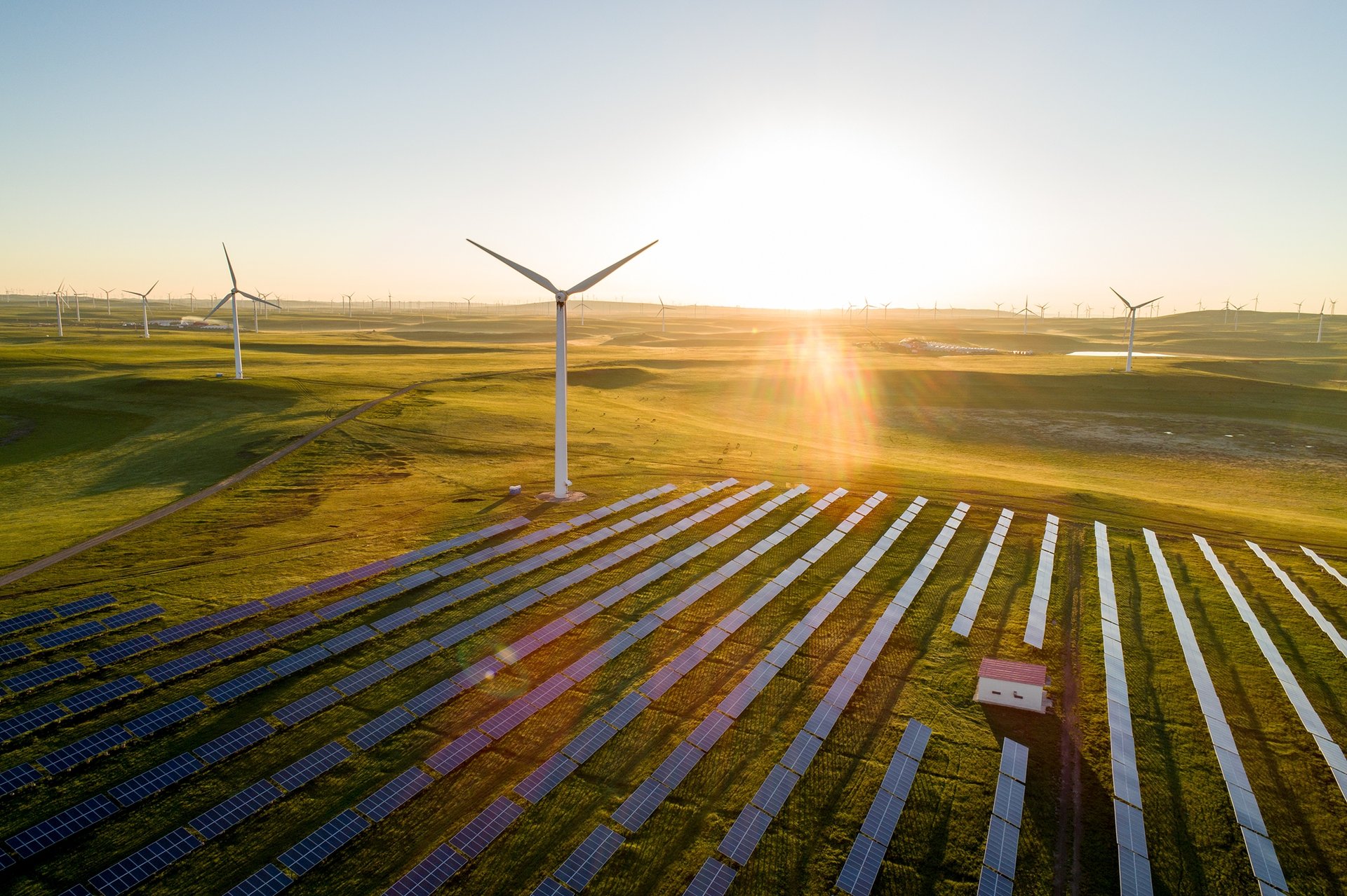 Renewables (Wind & Solar)